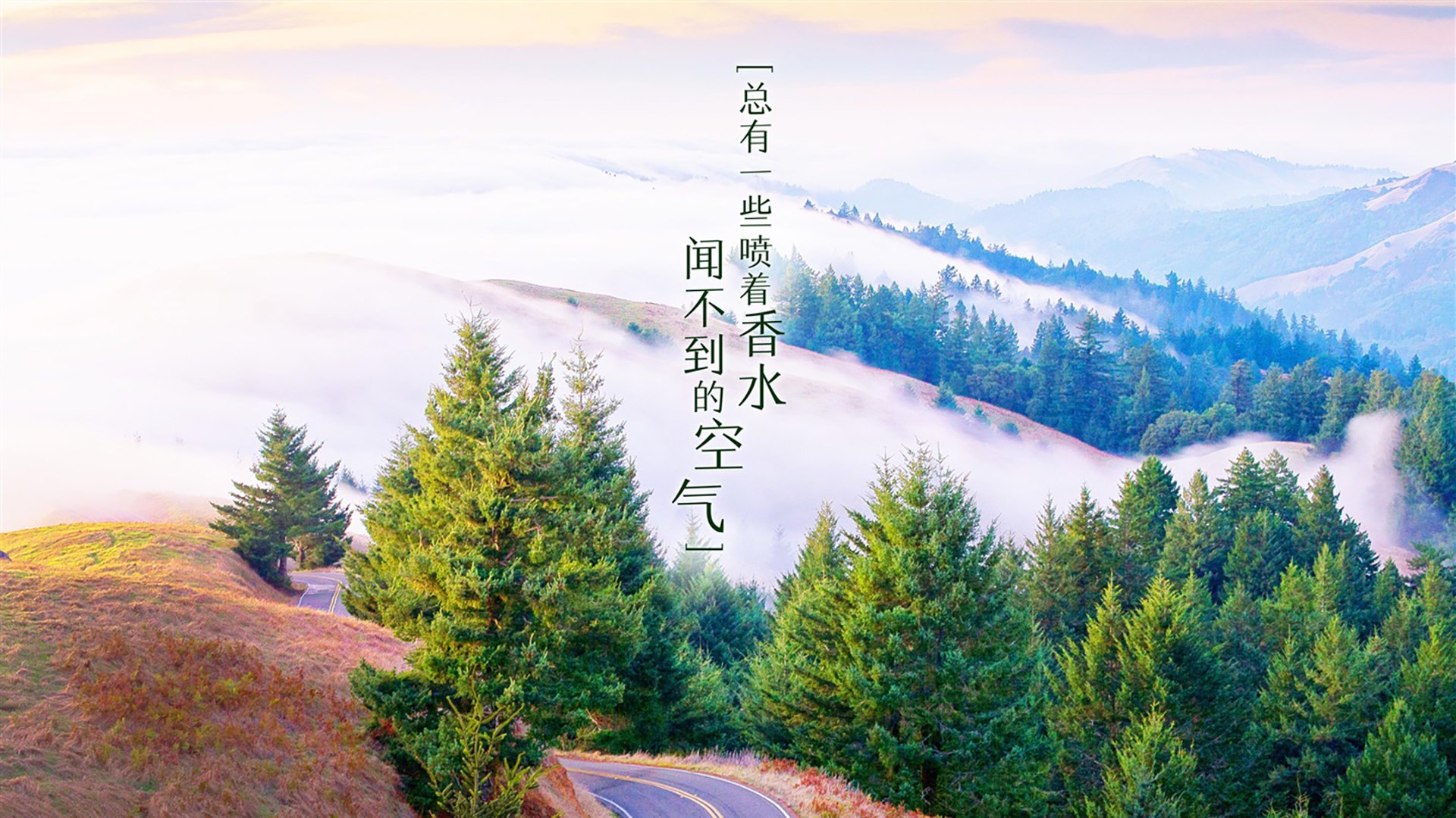 kaiyun体育综合-日本队门将多次关键扑救，日本主力门将