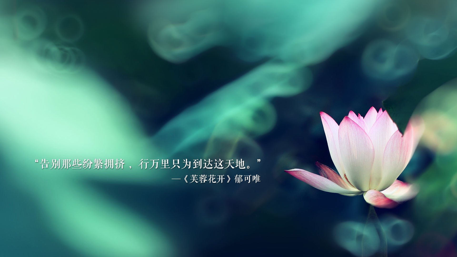 电竞游戏反作弊技术最新进展及其在职业赛事中的应用，电竞反杀