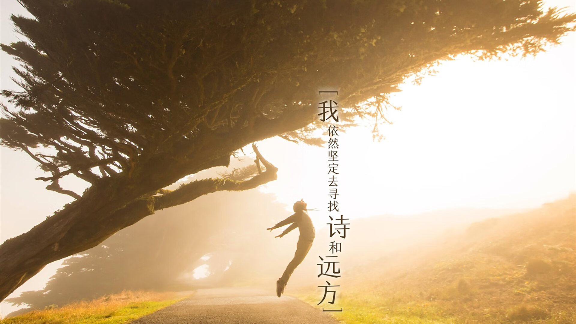 维罗纳客场负于桑普多利亚，圣蒂奇制胜入球，维罗纳主帅