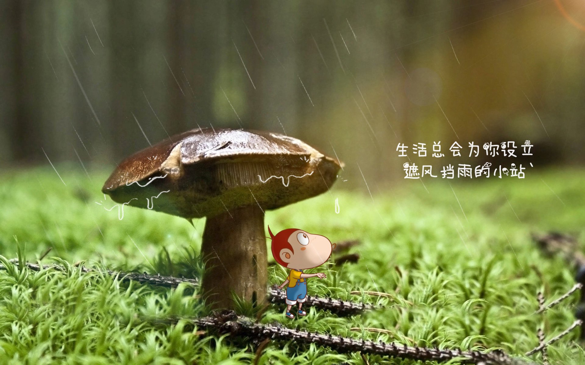开云·体育官网APP下载-法甲赛季中期球员伤病风险评估及预防机制研究，法甲队伍排名