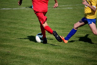 开云官方网页登录-“拳王争霸：四川省体育馆拳击赛将诞生新的世界拳王”