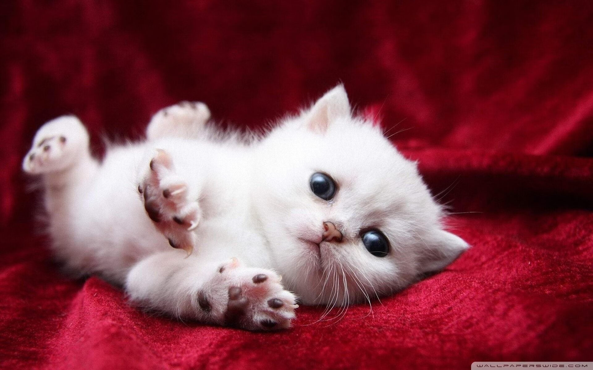 kaiyun.com-巴萨精妙传递连贯推进攻防转换，巴萨传控足球