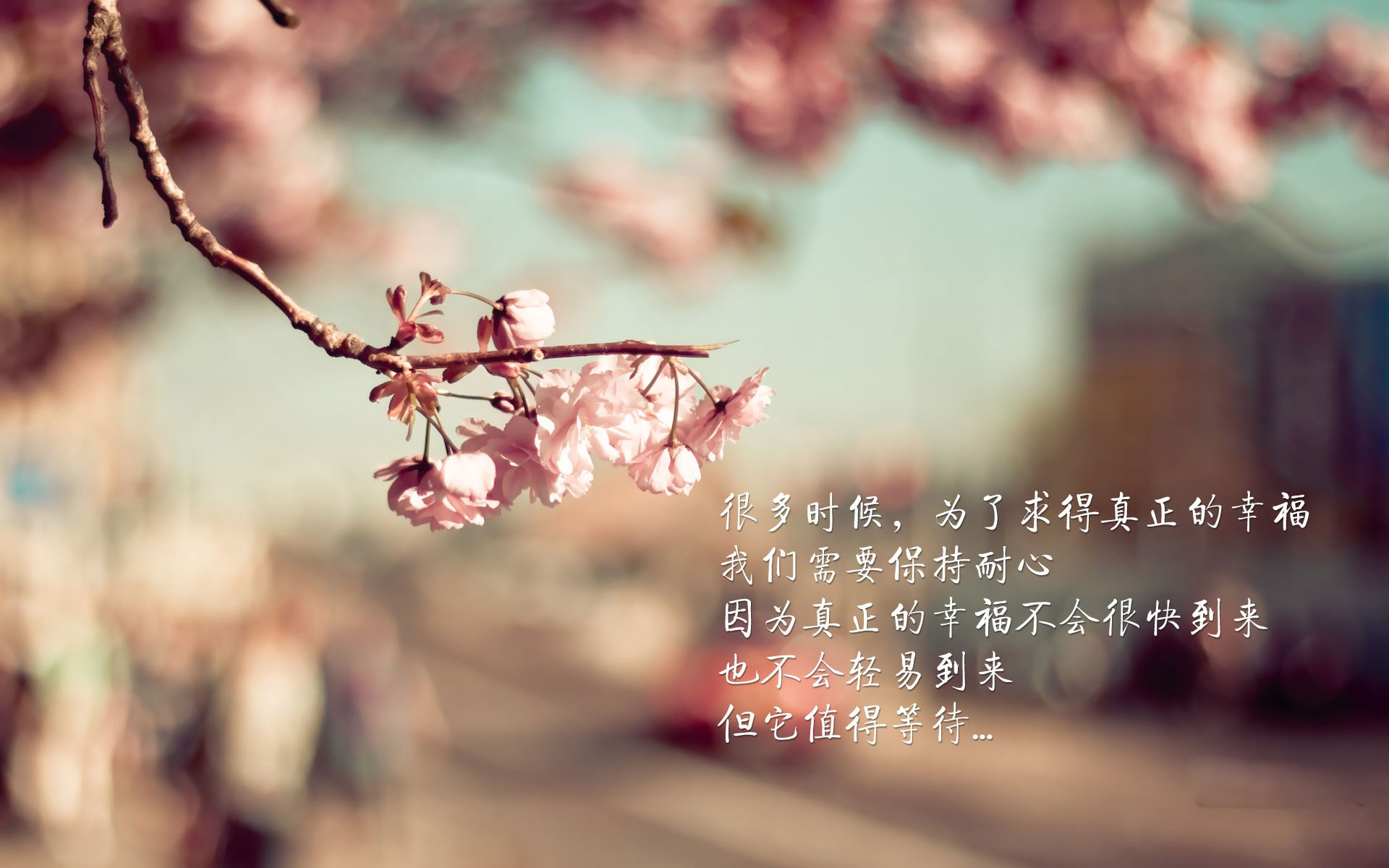 凯恩·瑞安：全黑队反击体系中的关键一环，凯恩化身泰瑞昂