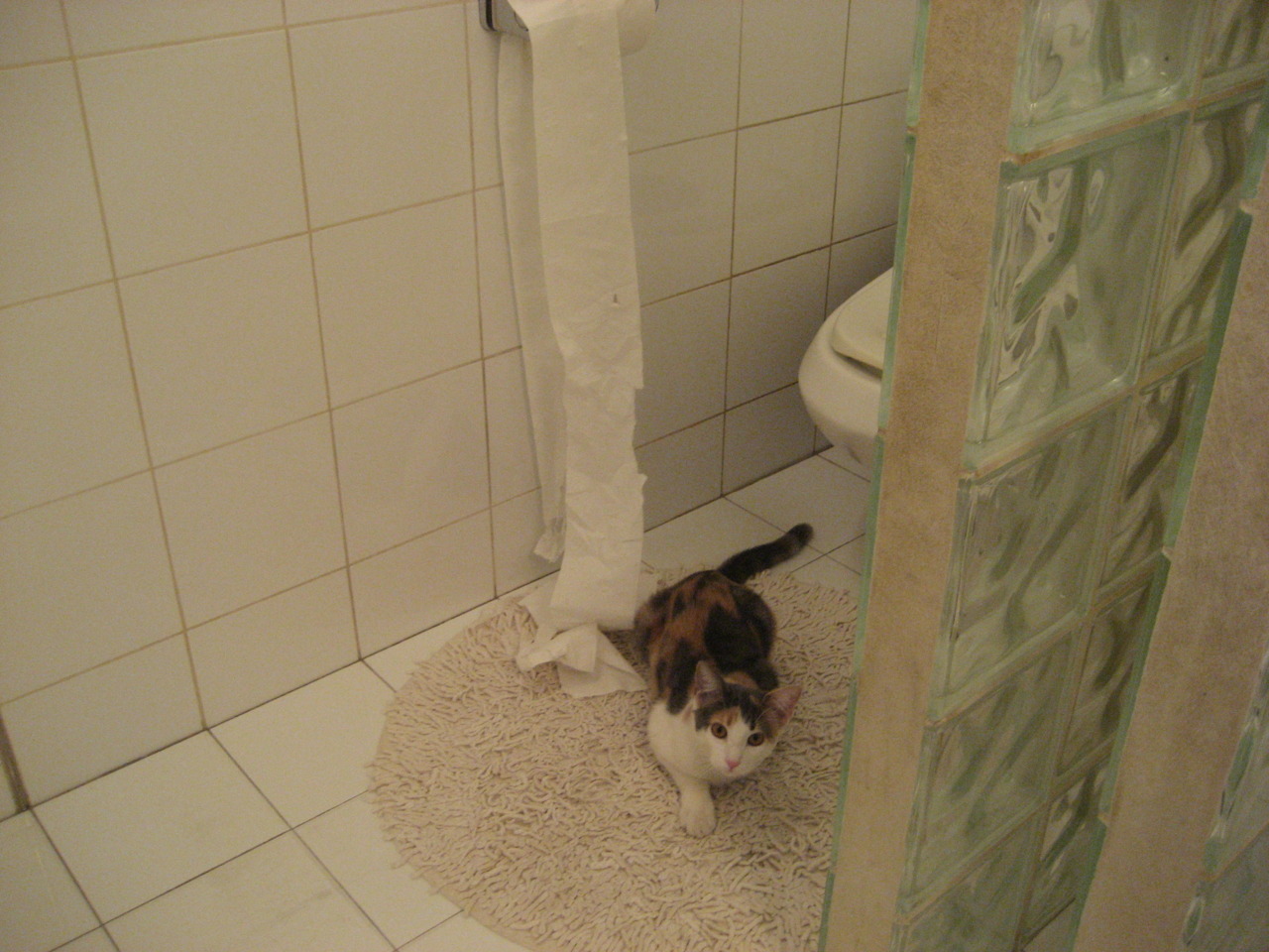 未来足球：智慧场馆实现全天自适应照明，节能环保新标准，智能足球场设备采购