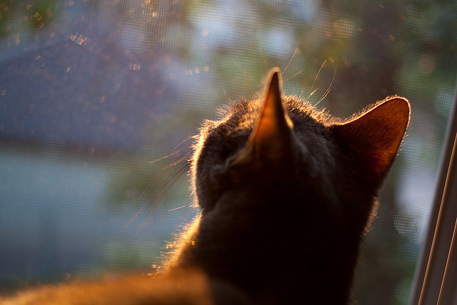 开云网页版登录入口-英超白热化：每场比赛都充满看点！，英超热刺别名白百何